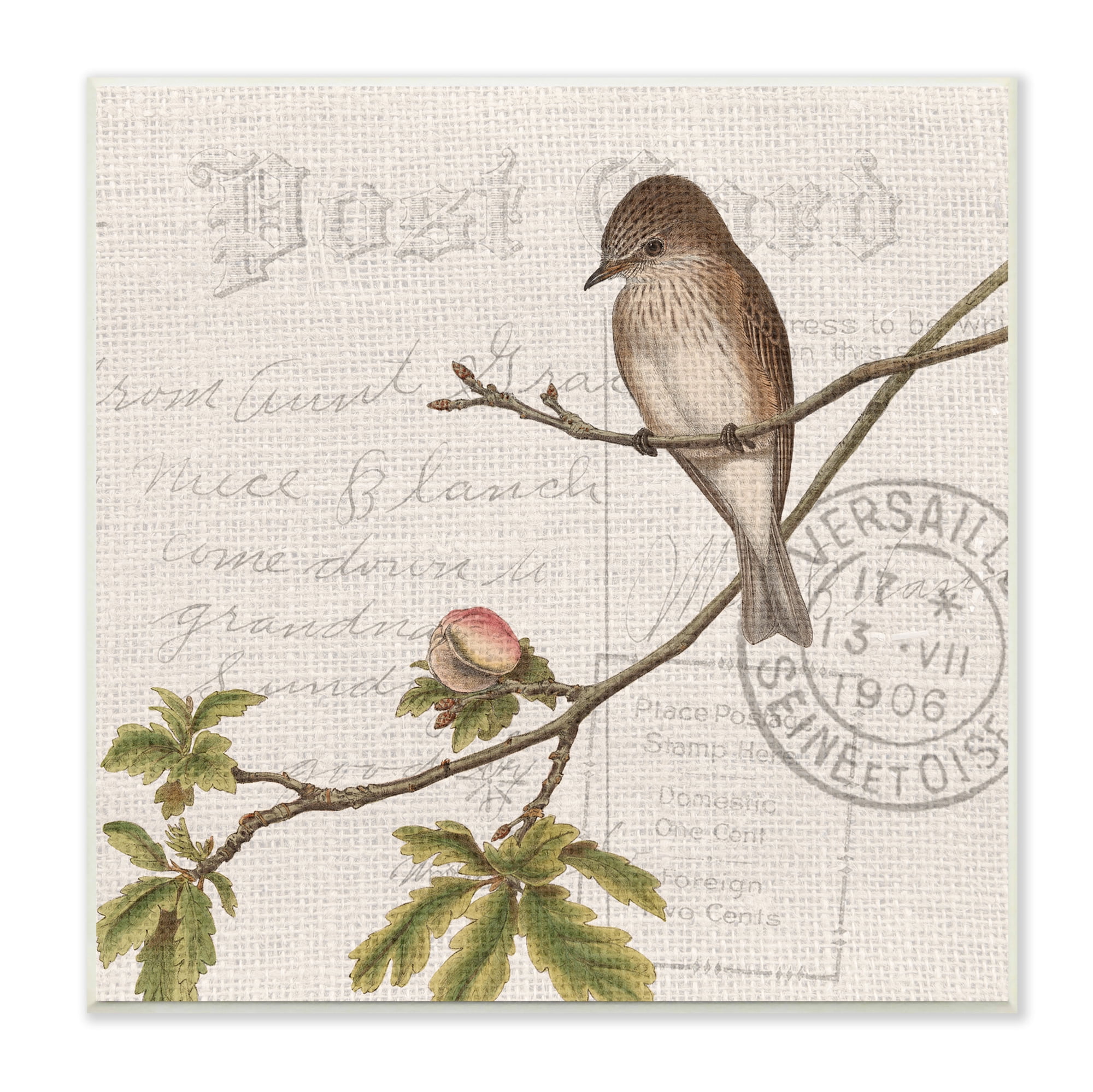 Stupell Industries Song Bird Tree Branch Vintage Postal Card Pattern, 12 x 12, Design by Kim Allen