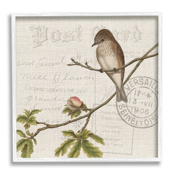 Stupell Industries Song Bird Tree Branch Vintage Postal Card Pattern, 12 x 12, Design by Kim Allen