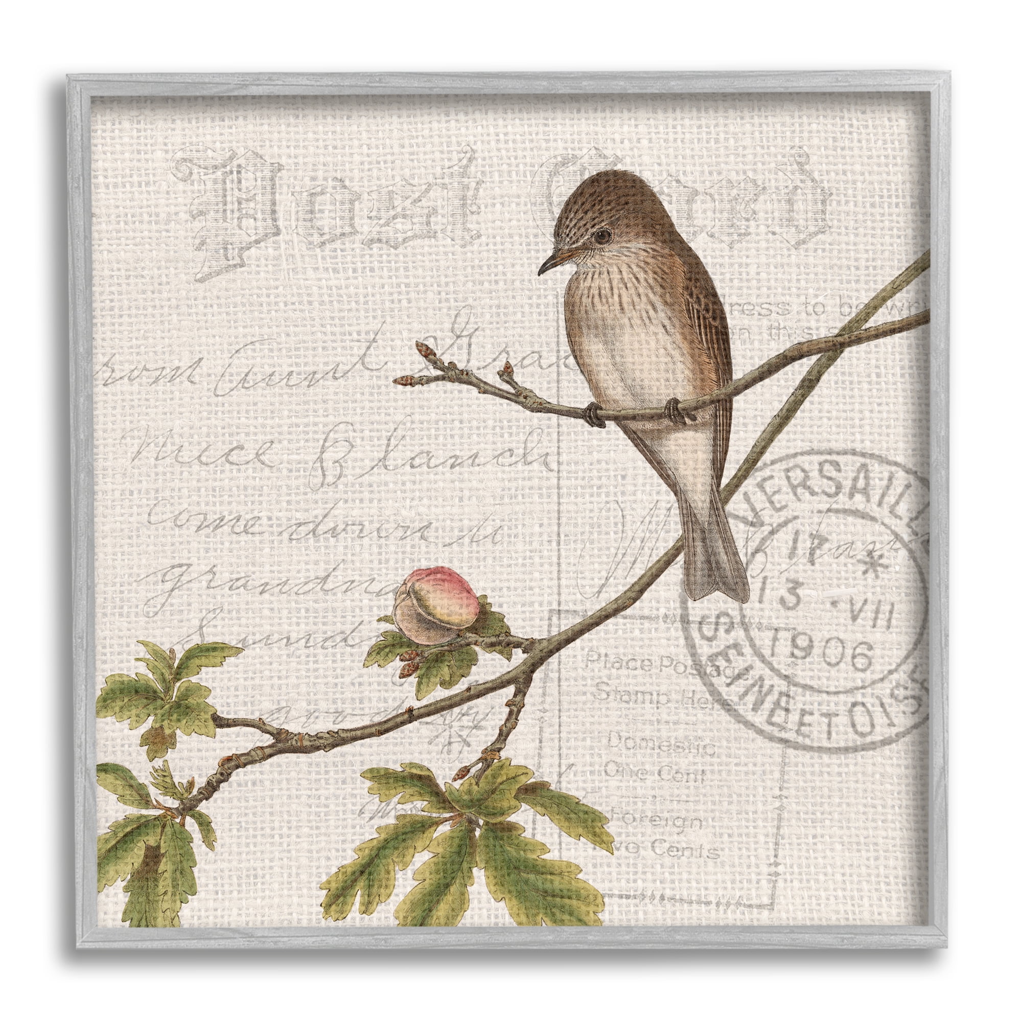 Stupell Industries Song Bird Tree Branch Vintage Postal Card Pattern, 24 x 24, Design by Kim Allen