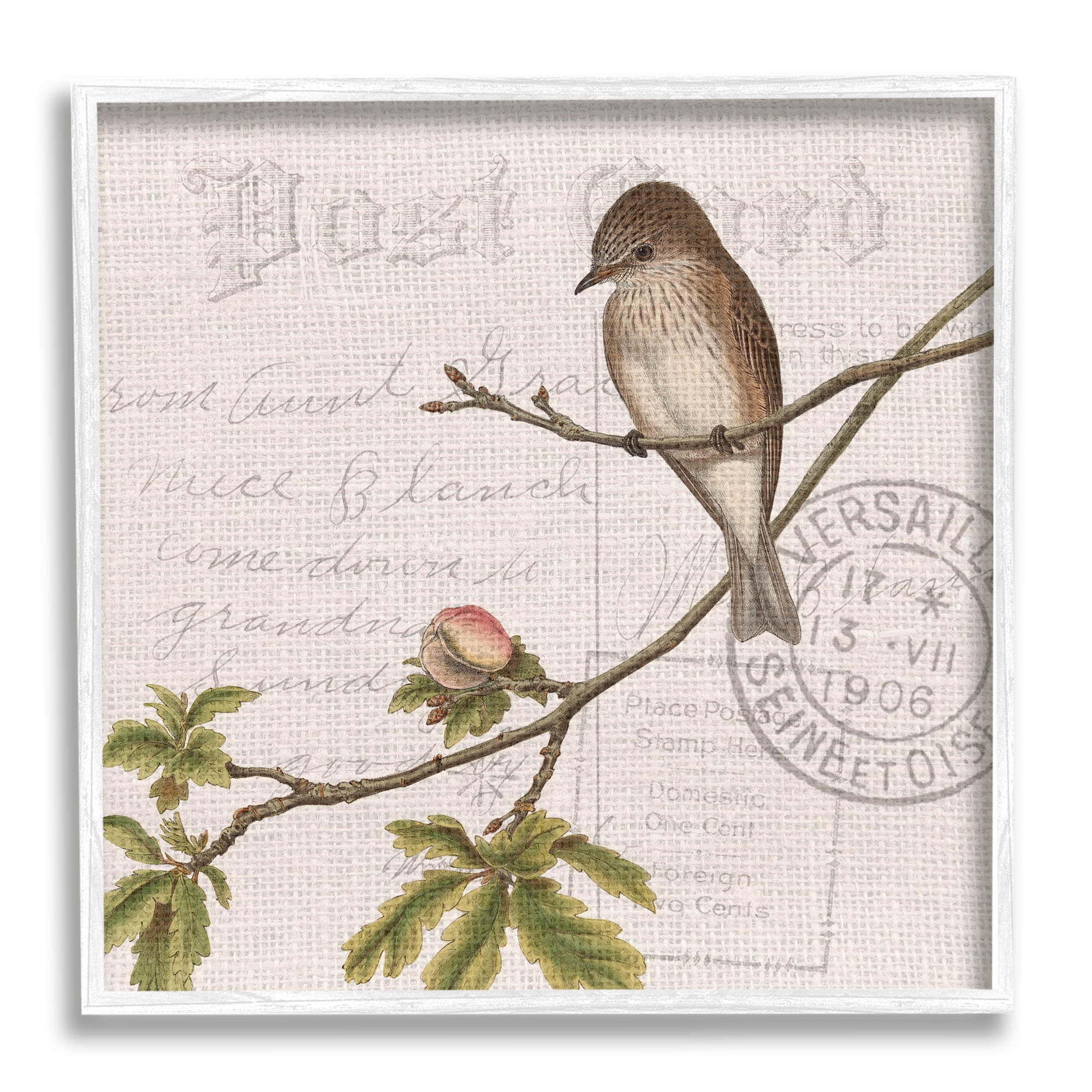 Stupell Industries Song Bird Tree Branch Vintage Postal Card Pattern, 24 x 24, Design by Kim Allen