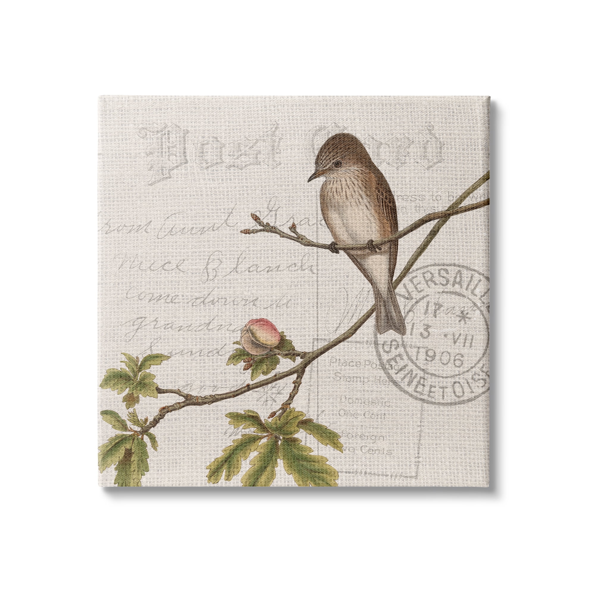Stupell Industries Song Bird Tree Branch Vintage Postal Card Pattern, 30 x 30, Design by Kim Allen