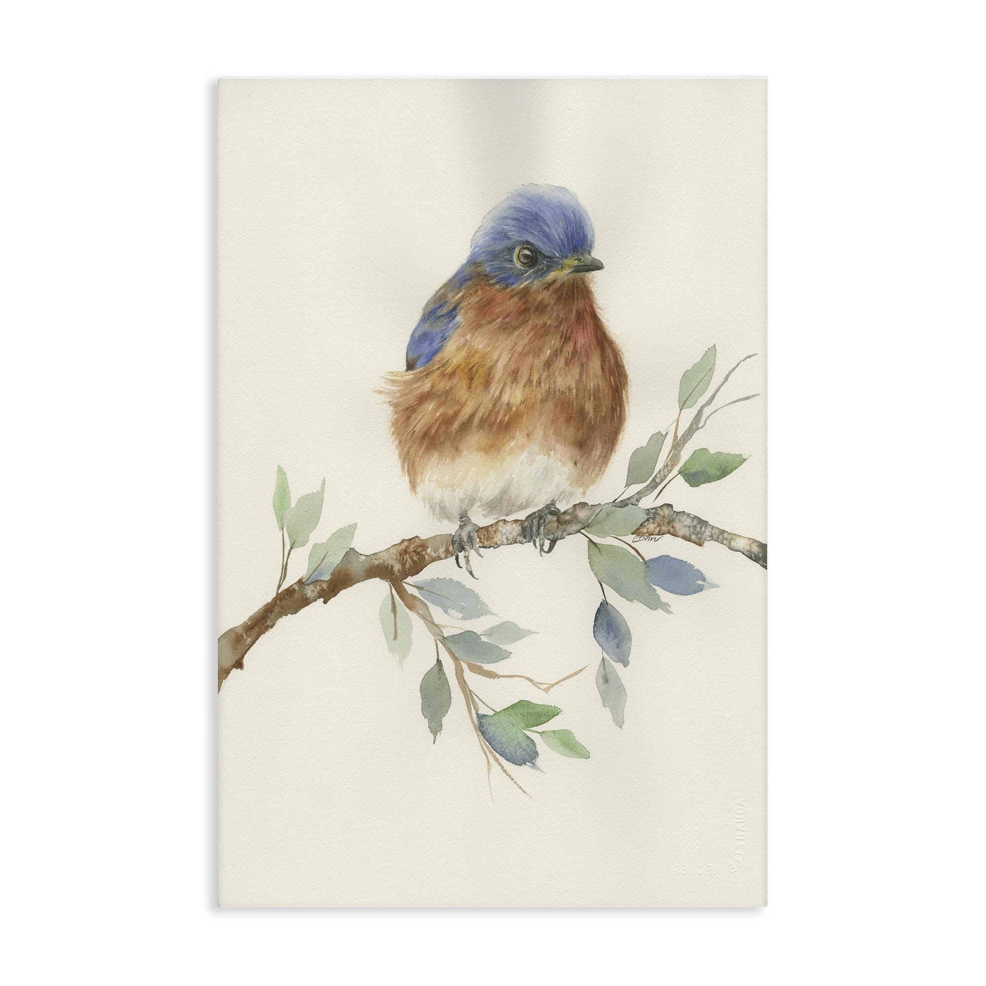 Stupell Industries Songbird Perched on Branch Canvas Wall Art, design by Cady Driver