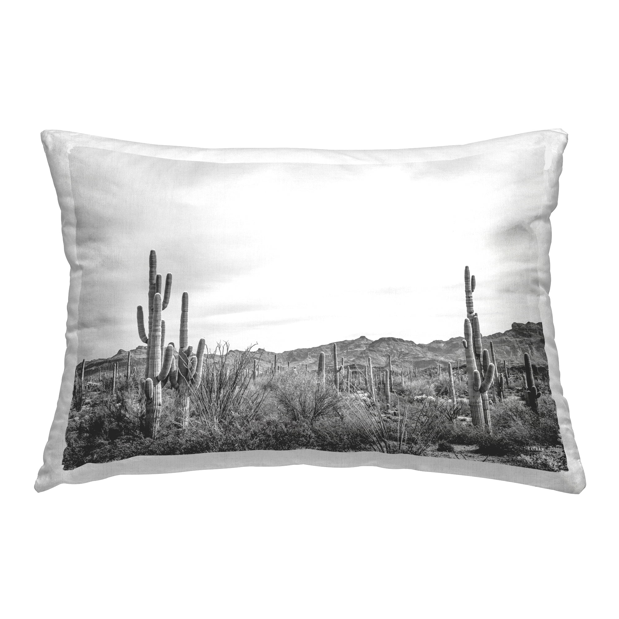 Stupell Industries Sonoran Desert Wonderland Decorative Printed Throw Pillow Design by Nathan Larson.