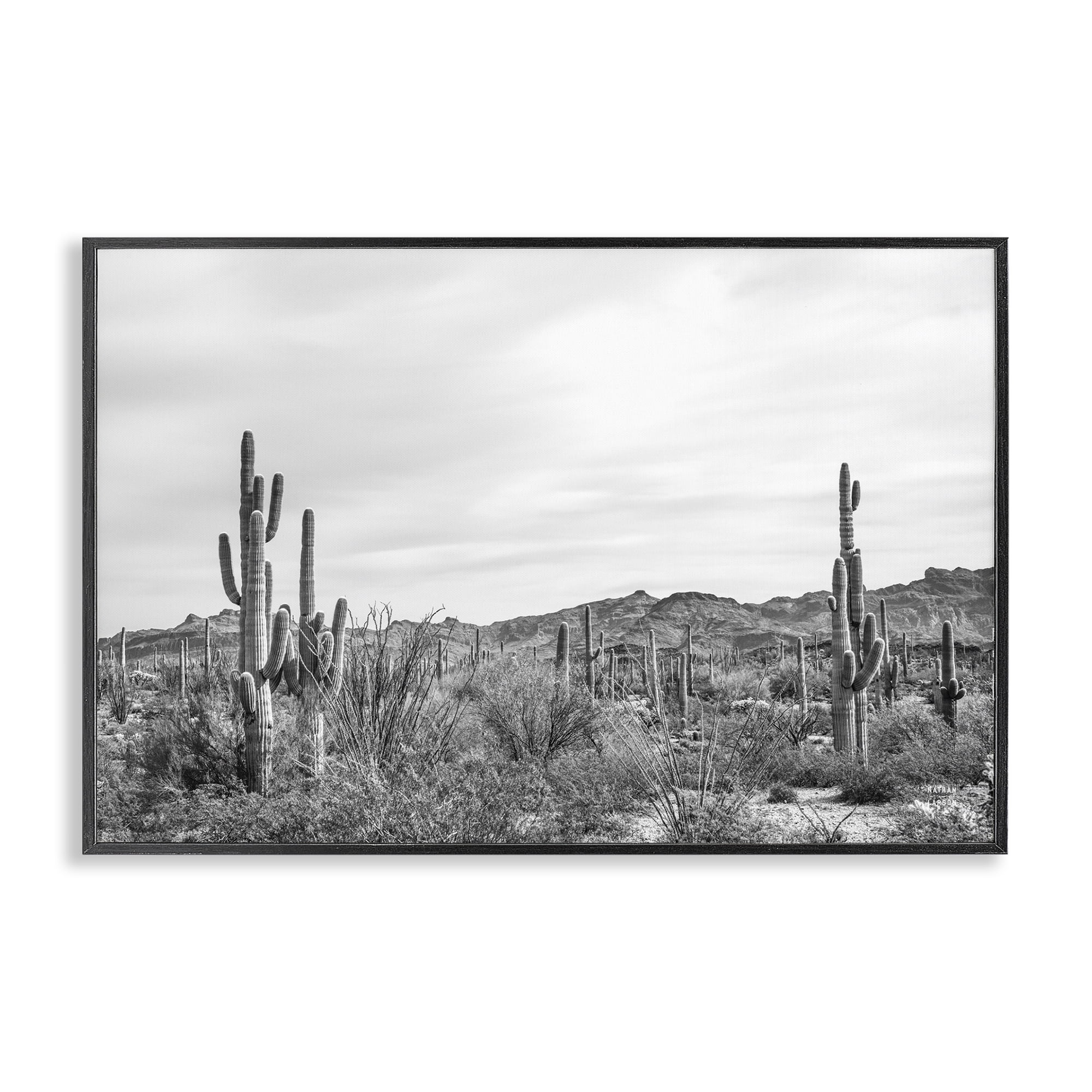 Stupell Industries Sonoran Desert Wonderland Landscape & Nature Photography Black Framed Art Print Wall Art, 30 x 20