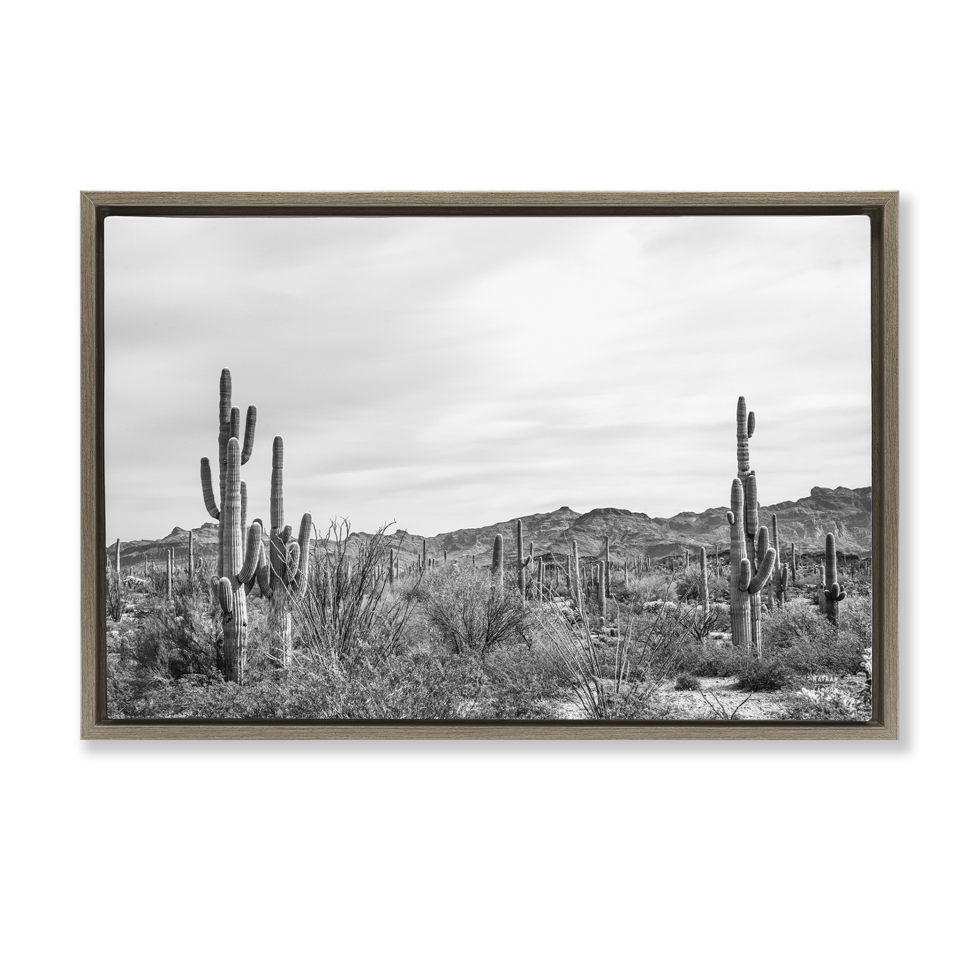 Stupell Industries Sonoran Desert Wonderland Landscape & Nature Photography Brown Floater Framed Canvas Art Print Wall Art, 31 x 21