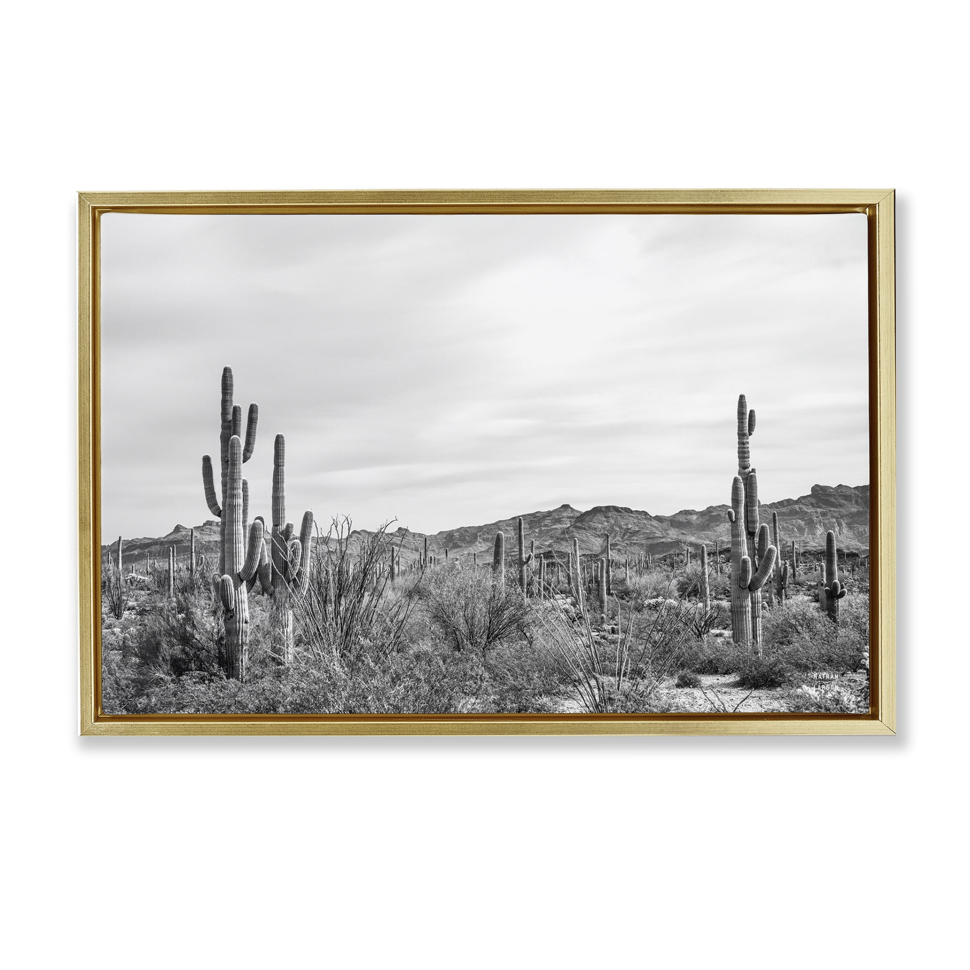 Stupell Industries Sonoran Desert Wonderland Landscape & Nature Photography Gold Floater Framed Canvas Art Print Wall Art, 25 x 17