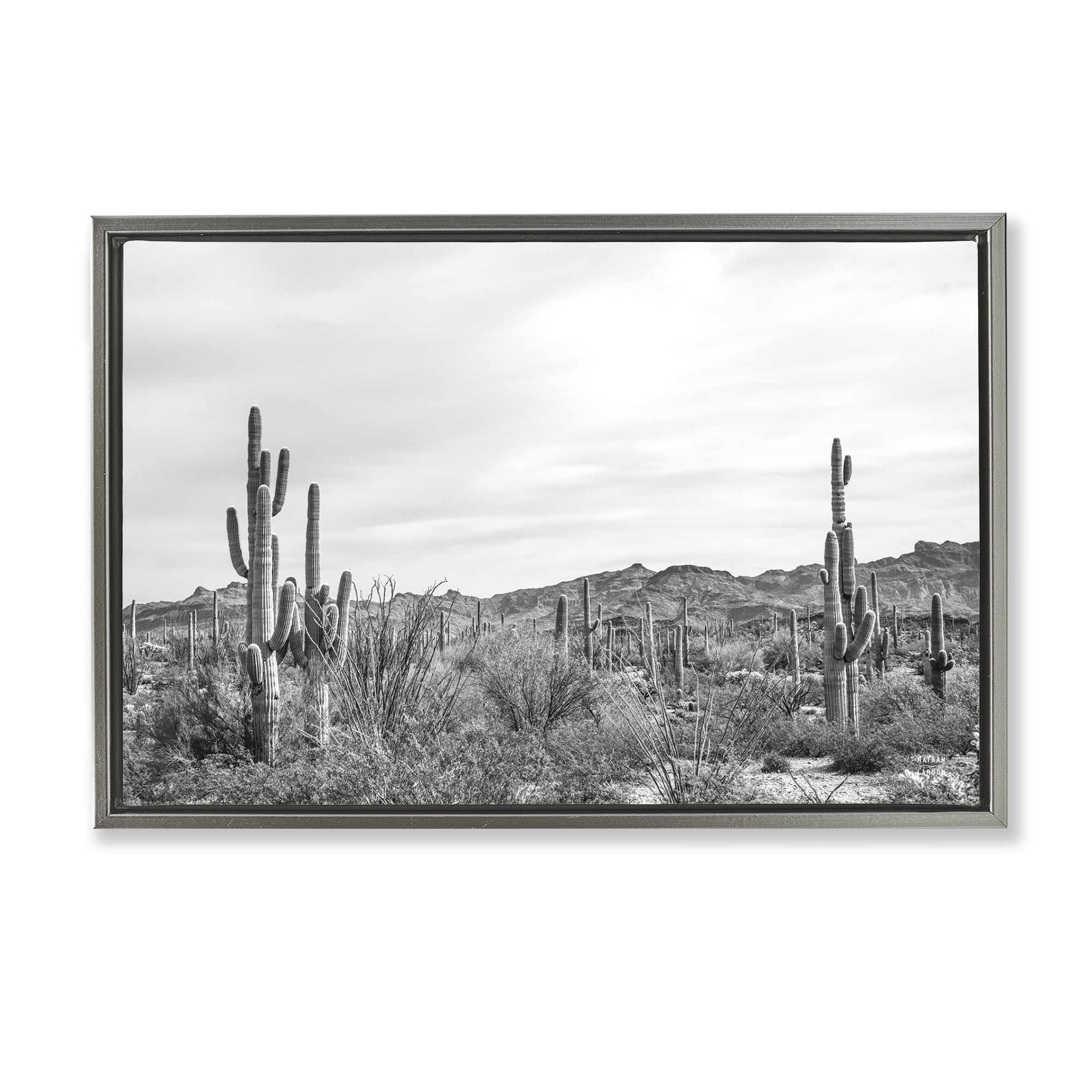 Stupell Industries Sonoran Desert Wonderland Landscape & Nature Photography Gray Floater Framed Canvas Art Print Wall Art, 25 x 17