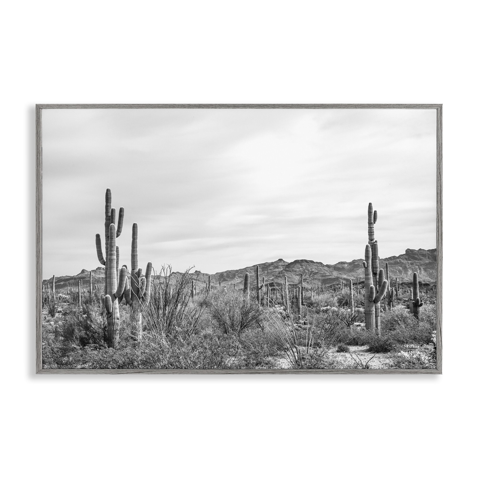 Stupell Industries Sonoran Desert Wonderland Landscape & Nature Photography Gray Framed Art Print Wall Art, 24 x 16
