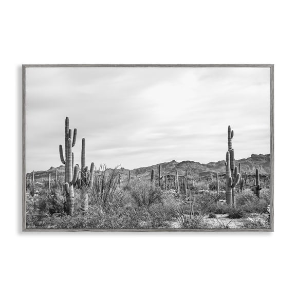 Stupell Industries Sonoran Desert Wonderland Landscape & Nature Photography Gray Framed Art Print Wall Art, 24 x 16