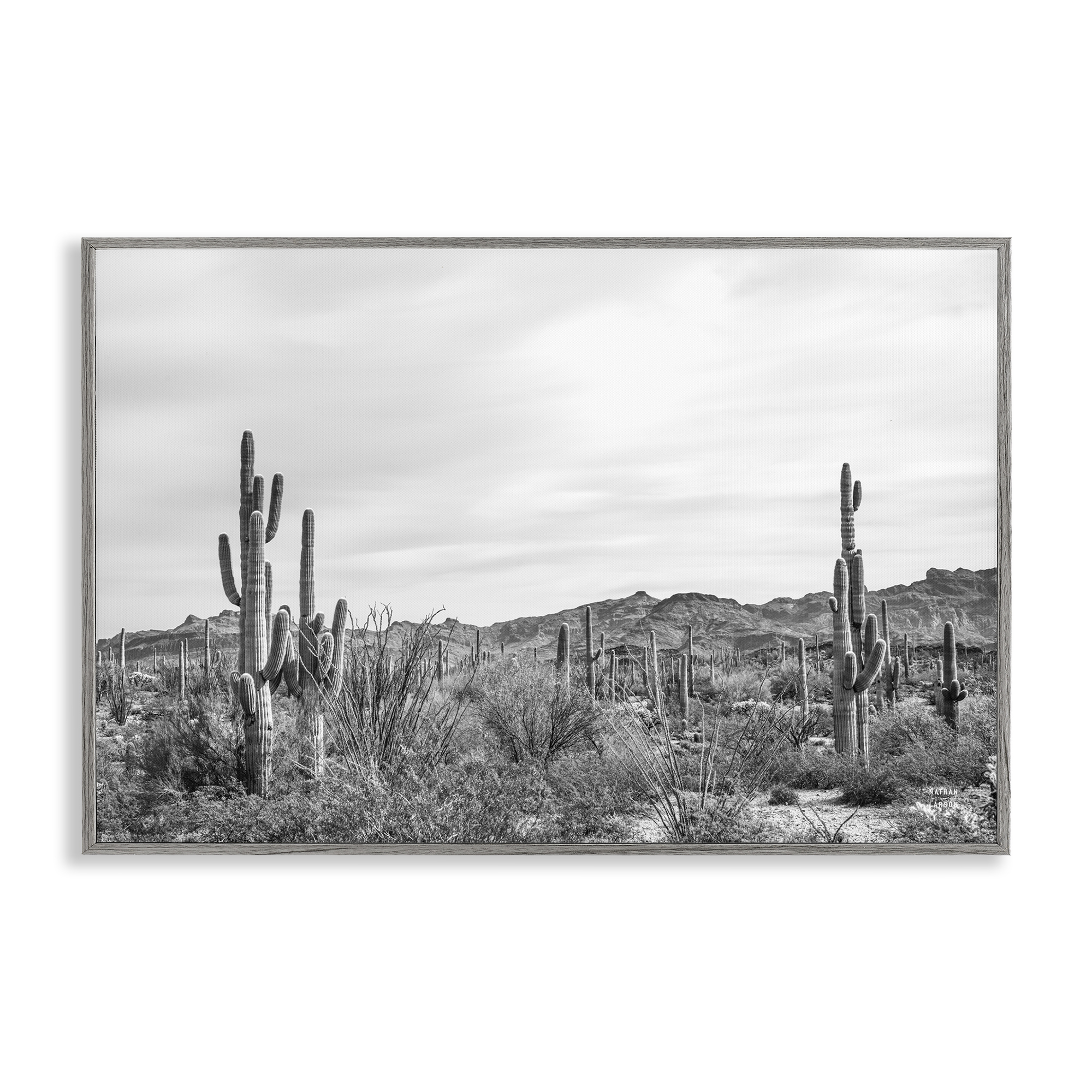 Stupell Industries Sonoran Desert Wonderland Landscape & Nature Photography Gray Framed Art Print Wall Art, 30 x 20