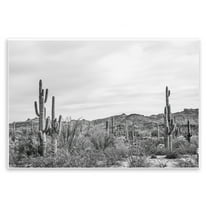 Stupell Industries Sonoran Desert Wonderland Landscape & Nature Photography Unframed Art Print Wall Art, 15 x 10