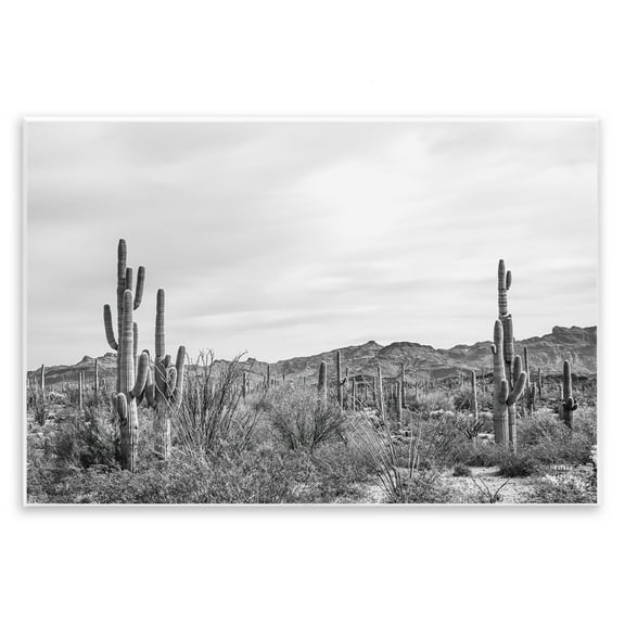 Stupell Industries Sonoran Desert Wonderland Landscape & Nature Photography Unframed Art Print Wall Art, 15 x 10