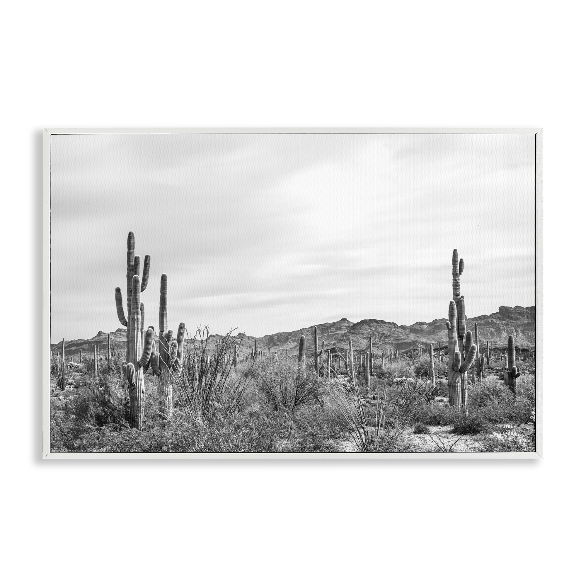 Stupell Industries Sonoran Desert Wonderland Landscape & Nature Photography White Framed Art Print Wall Art, 30 x 20