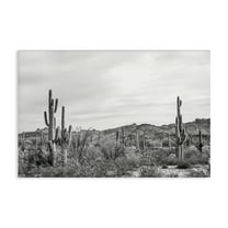 Stupell Industries Sonoran Desert Wonderland Landscape & Nature Photography Wrapped Canvas Art Print Wall Art, 24 x 16