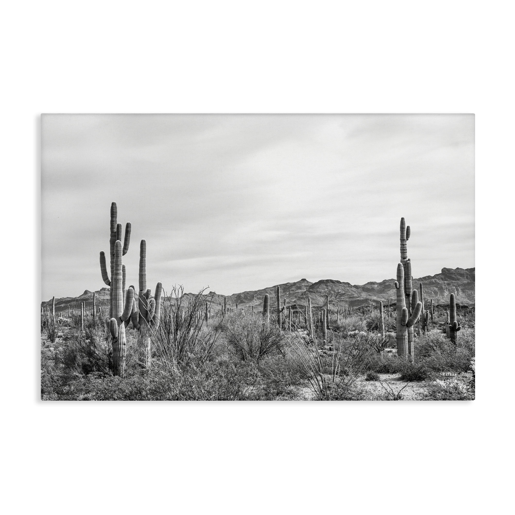 Stupell Industries Sonoran Desert Wonderland Landscape & Nature Photography Wrapped Canvas Art Print Wall Art, 36 x 24