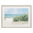 thumbnail image 1 of Stupell Industries Transitional Soothing Beach Day Birch Framed Print Under Glass, 20 x 14, by Jane Slivka, 1 of 8