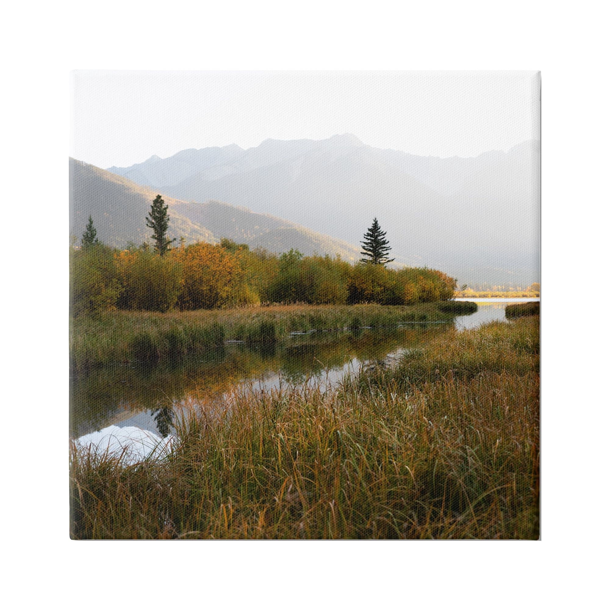 Stupell Industries Soothing Grassy Bog Stream Mountains Landscape , 36 x 36, Design by Carol Robinson