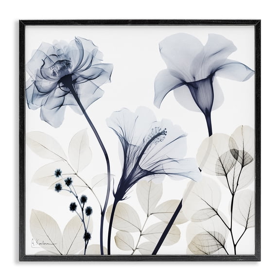 Stupell Industries Sophisticated Minimal Flowers Floral Photography Black Framed Art Print Wall Art, 12 x 12