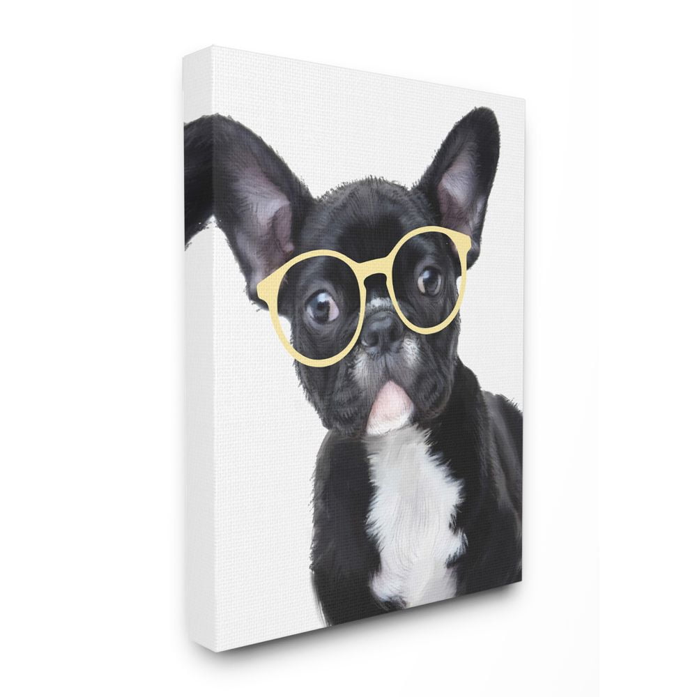 Sophisticated Puppy Dog French Bulldog Glasses Canvas Wall Art, 16 x 20