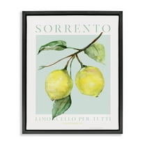Stupell Industries Sorrento Lemon Branch Food & Beverage Painting Black Floater Framed Canvas Art Print Wall Art, 17 x 21