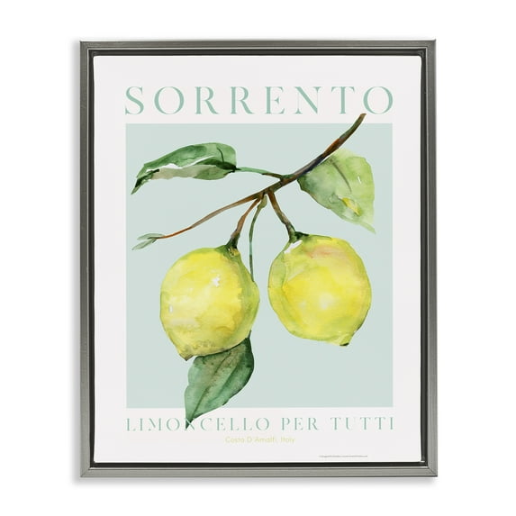 Stupell Industries Sorrento Lemon Branch Food & Beverage Painting Gray Floater Framed Canvas Art Print Wall Art, 17 x 21