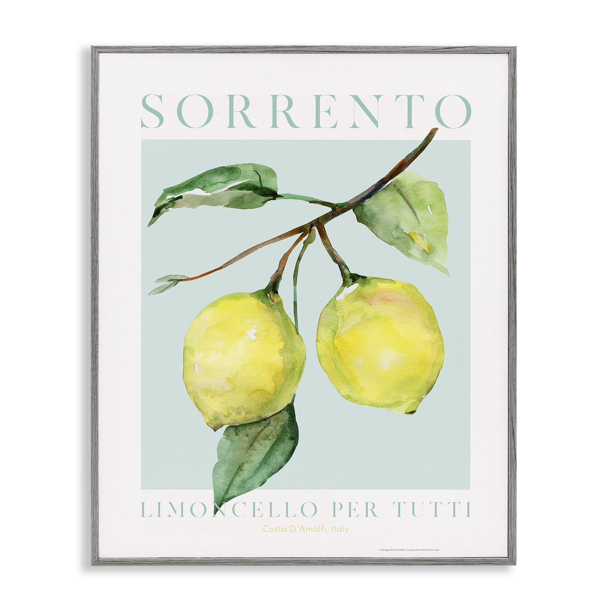 Stupell Industries Sorrento Lemon Branch Food & Beverage Painting Gray Framed Art Print Wall Art, 16 x 20