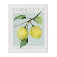 thumbnail image 1 of Stupell Industries Sorrento Lemon Branch Food & Beverage Painting Wrapped Canvas Art Print Wall Art, 16 x 20, 1 of 8