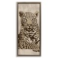 thumbnail image 1 of Stupell Industries Southwestern Brown Floating Frame Canvas Art, 14 x 31, by Andrew Cooper, 1 of 8