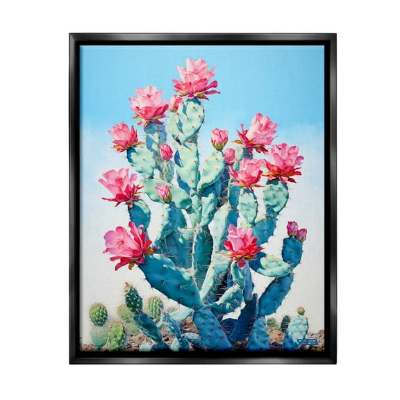 Stupell Industries Southwestern Cactus Flowers Botanical & Floral Painting Black Floater Framed Canvas Art Print Wall Art, 17 x 21