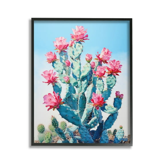 Stupell Industries Southwestern Cactus Flowers Botanical & Floral Painting Black Framed Art Print Wall Art, 16 x 20