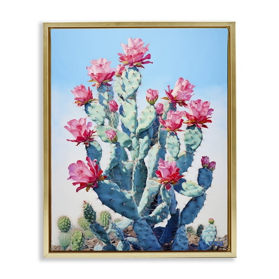 Stupell Industries Contemporary Southwestern Cactus Flowers Gold Floating Frame Canvas Art, 17 x 21, by RB