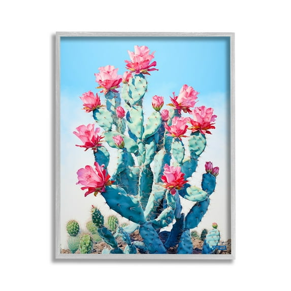 Stupell Industries Southwestern Cactus Flowers Botanical & Floral Painting Gray Framed Art Print Wall Art, 11 x 14