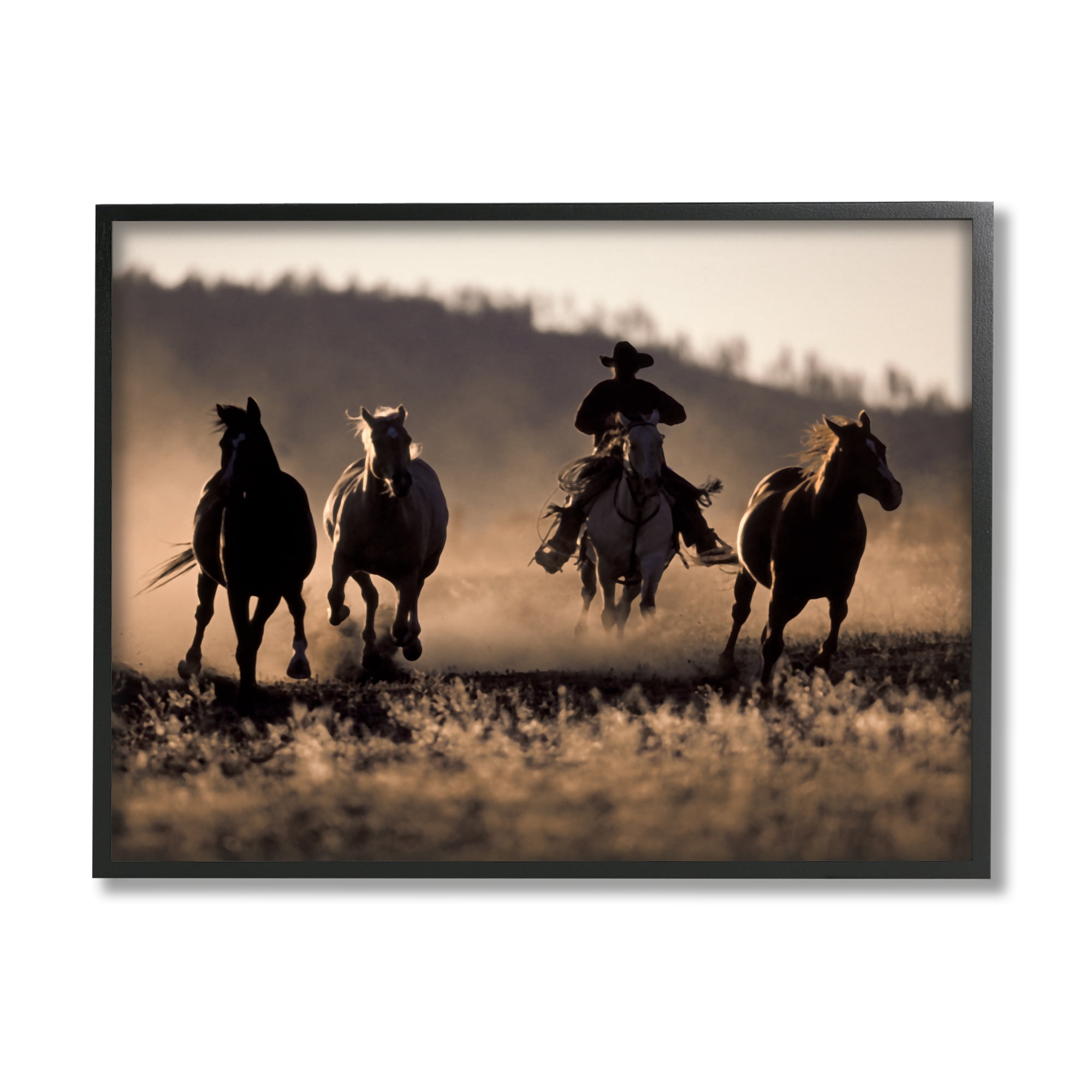 Stupell Industries Southwestern Cowboy at Sunset Animals & Insects Photography Black Framed Art Print Wall Art, 20 x 16