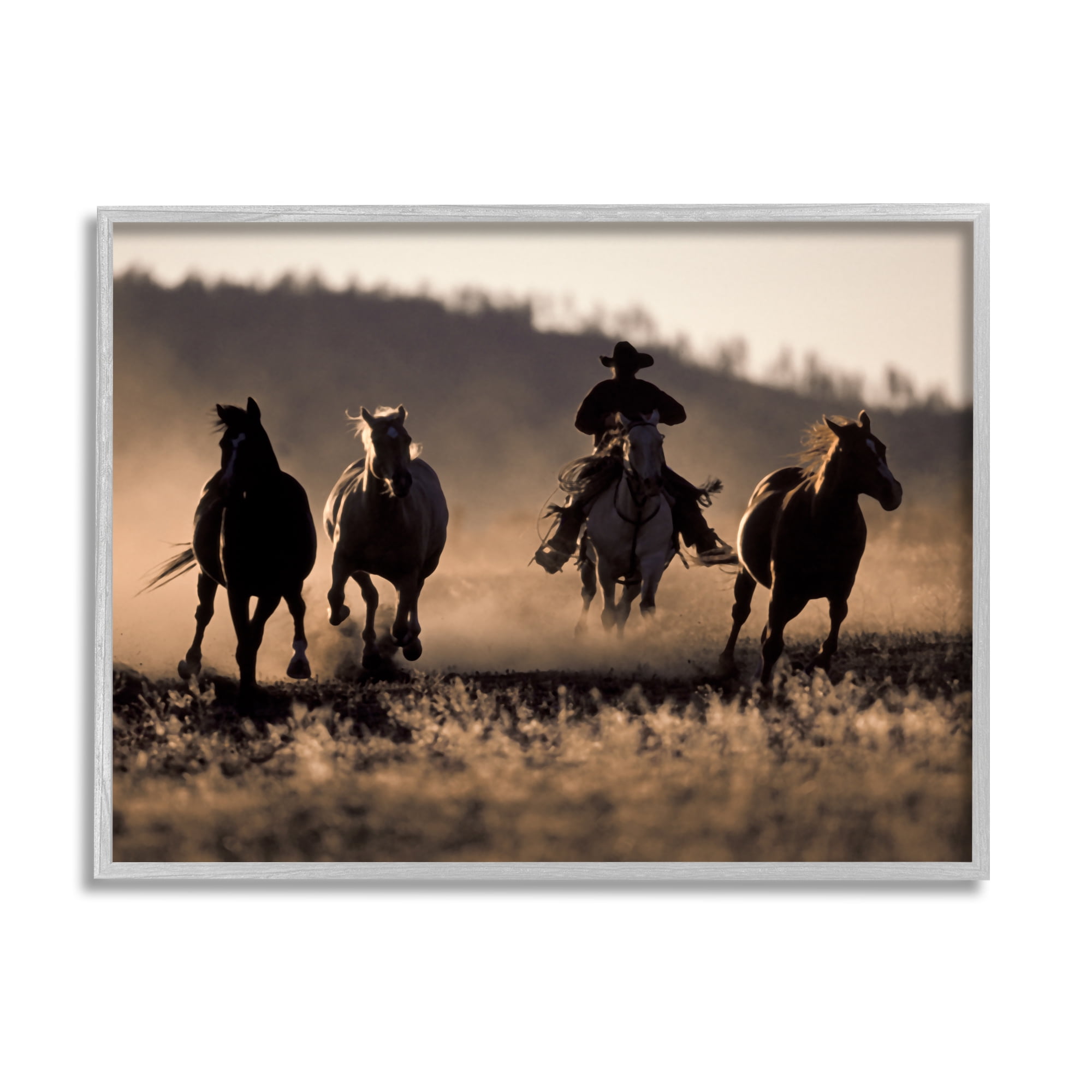 Stupell Industries Southwestern Cowboy at Sunset Animals & Insects Photography Gray Framed Art Print Wall Art, 20 x 16