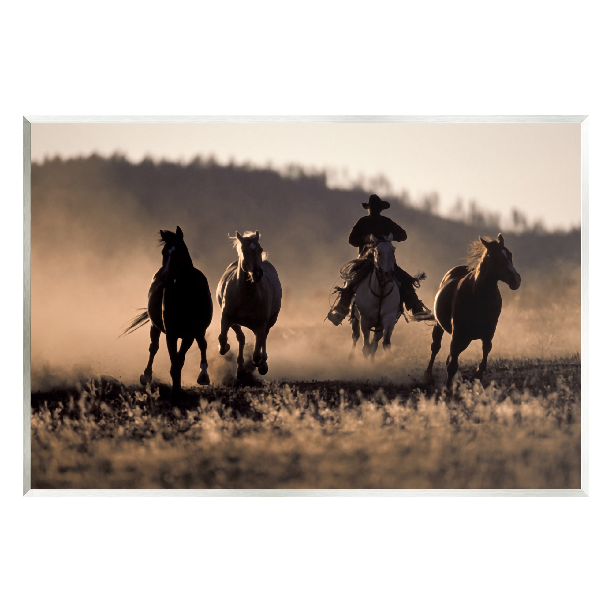 Stupell Industries Southwestern Cowboy at Sunset Animals & Insects Photography Unframed Art Print Wall Art, 19 x 13