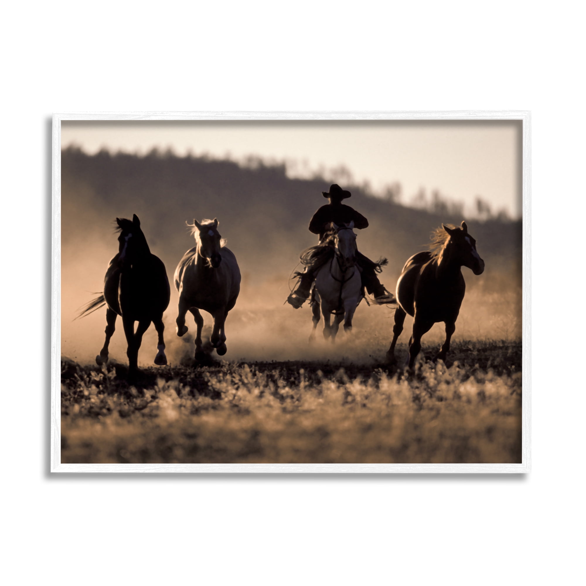 Stupell Industries Southwestern Cowboy at Sunset Animals & Insects Photography White Framed Art Print Wall Art, 20 x 16