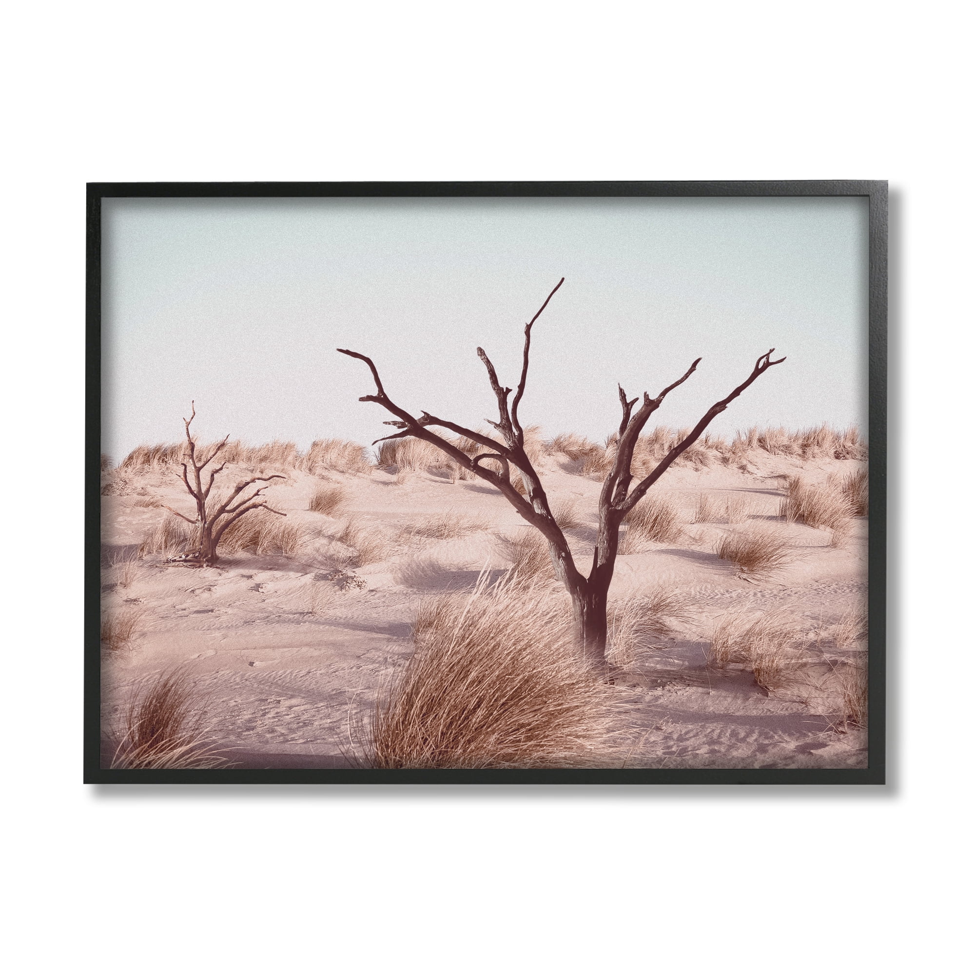 Stupell Industries Southwestern Desert Tree Landscape Soft Muted Brush Nature Photography Black Framed Art Print Wall Art, 24 x 30