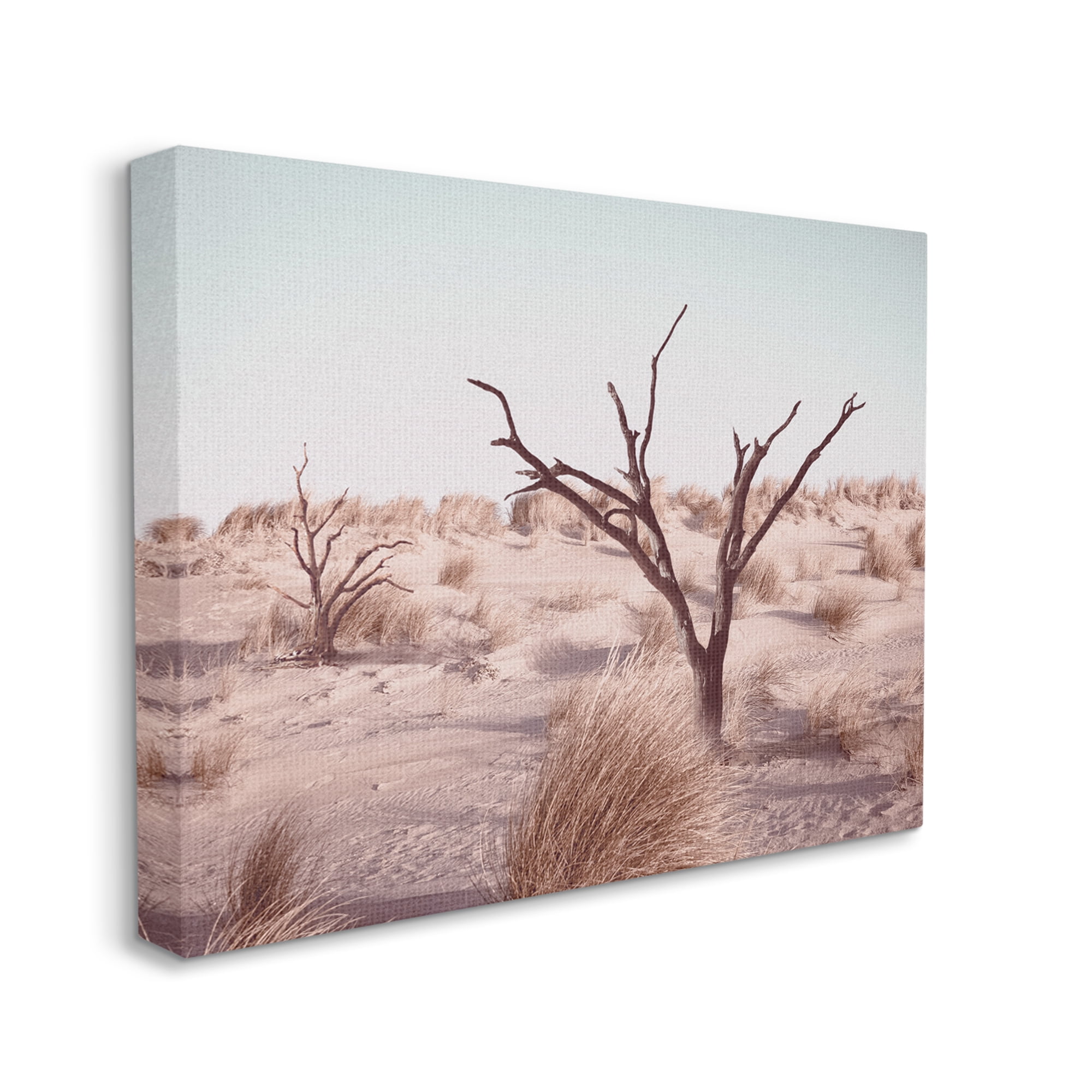 Stupell Industries Southwestern Desert Tree Landscape Soft Muted Brush Nature Photography Gallery Wrapped Canvas Print Wall Art, 30 x 40