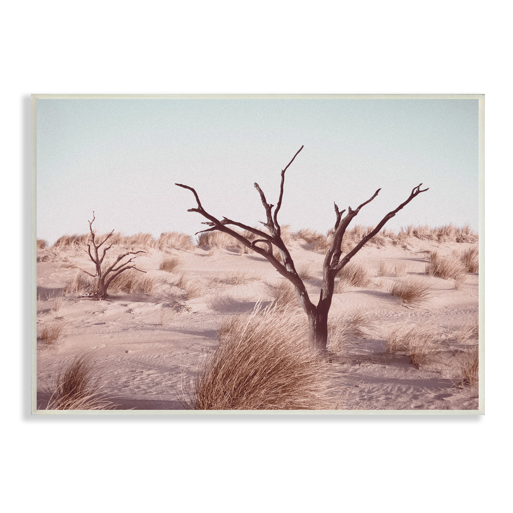Stupell Industries Southwestern Desert Tree Landscape Soft Muted Brush Nature Photography Unframed Art Print Wall Art, 10 x 15