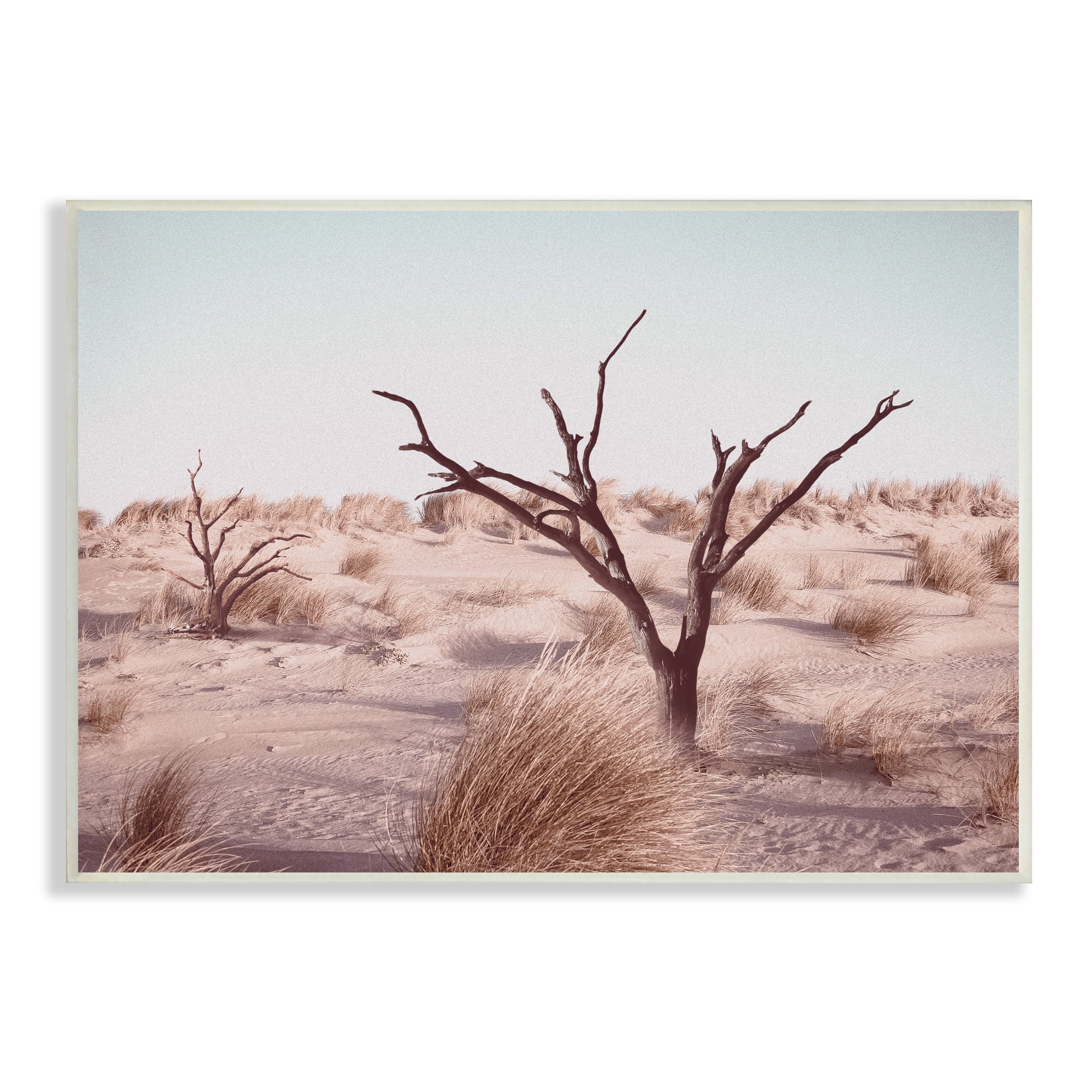 Stupell Industries Southwestern Desert Tree Landscape Soft Muted Brush Nature Photography Unframed Art Print Wall Art, 13 x 19