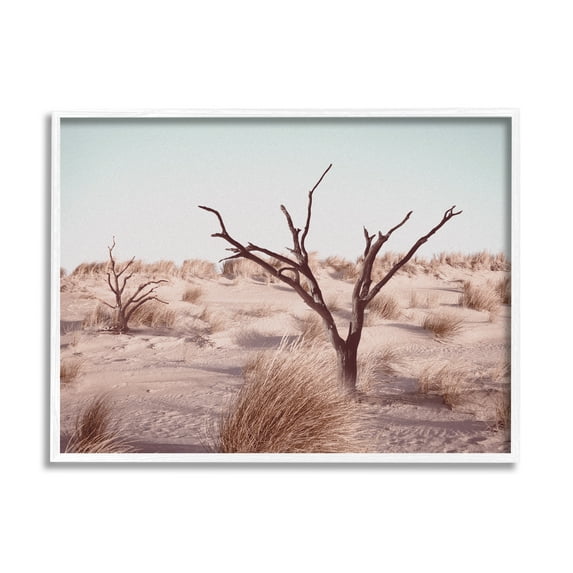 Stupell Industries Southwestern Desert Tree Landscape Soft Muted Brush Nature Photography White Framed Art Print Wall Art, 24 x 30