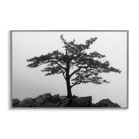 Stupell Industries Southwestern Gray Framed Giclee Art, 30 x 20, by Lori Deiter