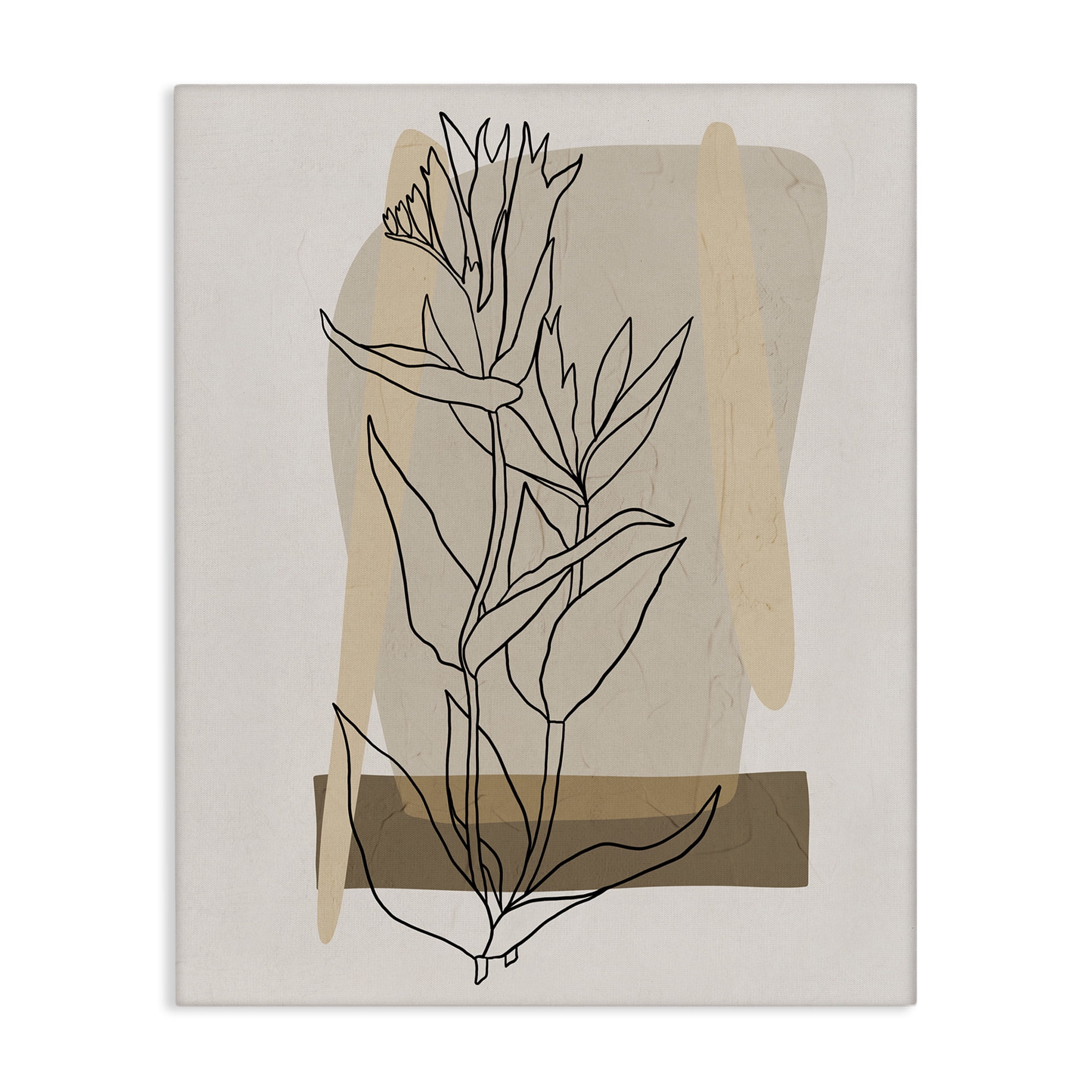 Stupell Industries Southwestern Plant Leaves Botanical & Floral Painting Gallery Wrapped Canvas Art Print Wall Art, 16 x 20