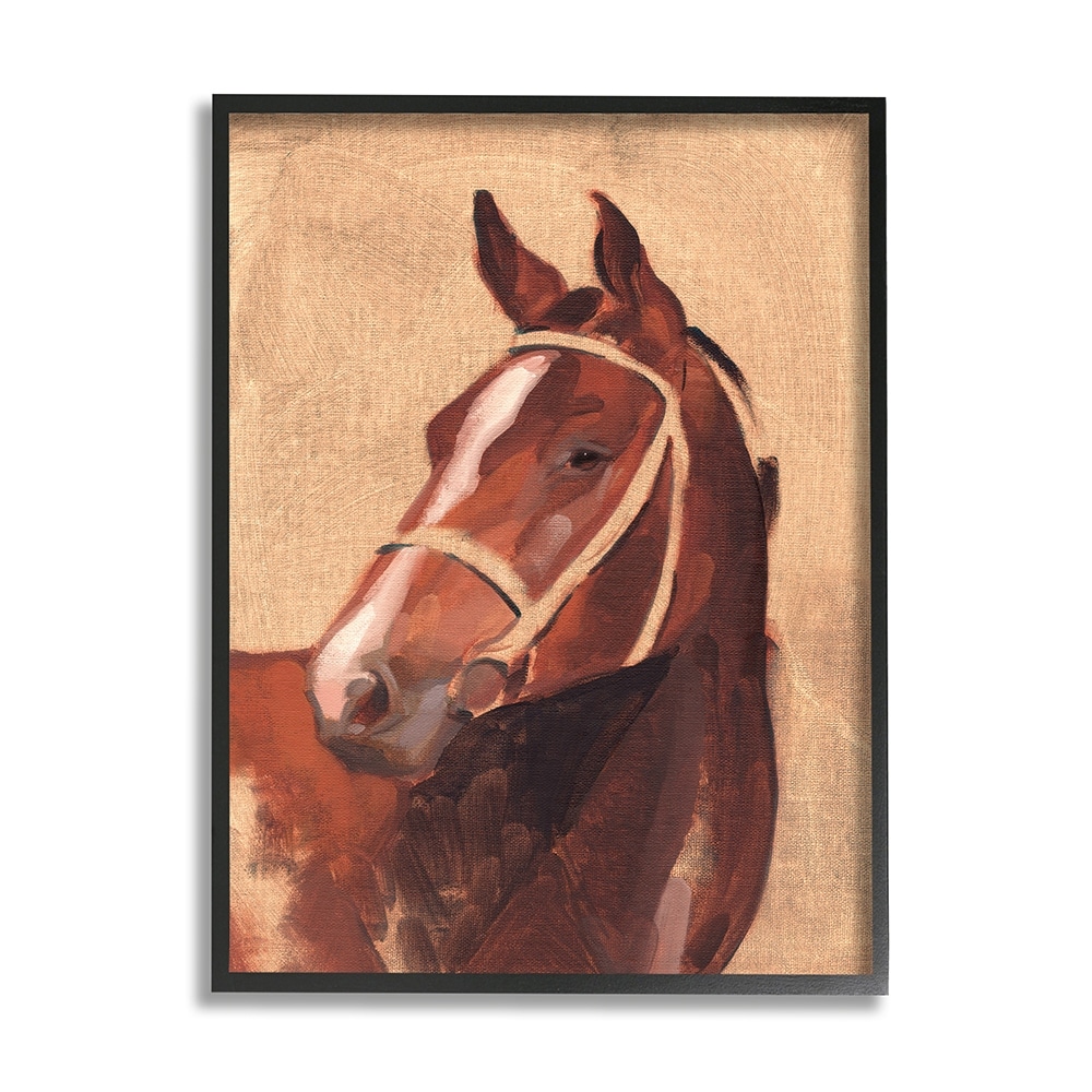 Stupell Industries Southwestern Vintage Horse Equestrian Portrait Black Framed by Jacob Green
