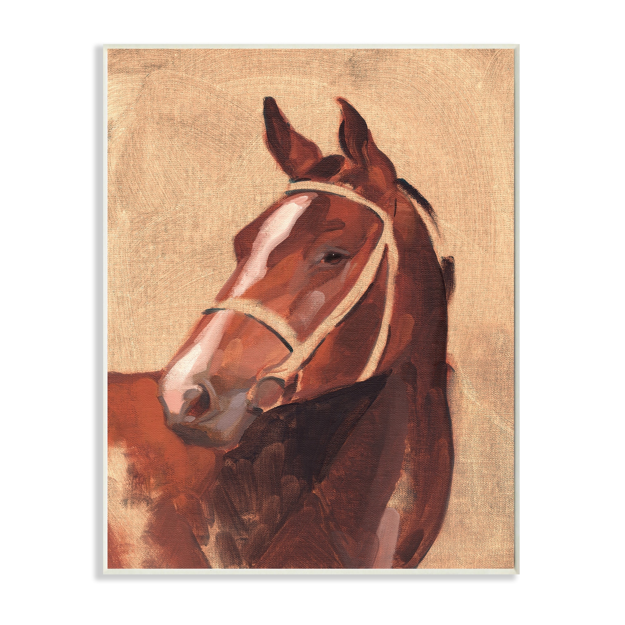 Stupell Industries Southwestern Vintage Horse Equestrian Portrait Wall Plaque by Jacob Green