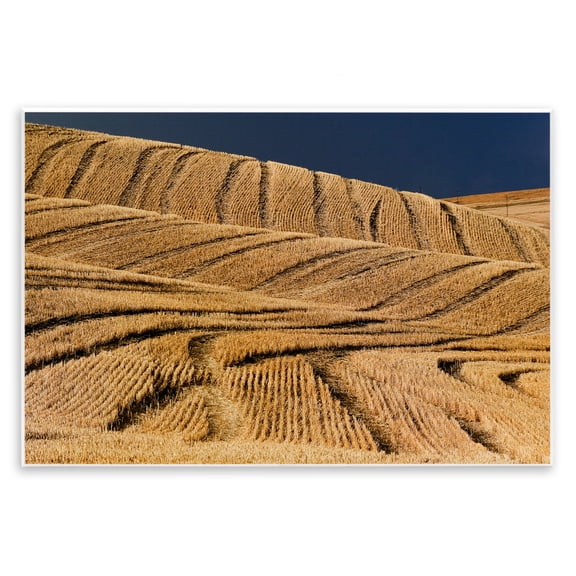 Stupell Industries Southwestern Wavy Cornfield Lines Vast Rural Field Wall Plaque Art, 15 x 10, by David Lorenz