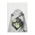 thumbnail image 1 of Stupell Industries Modern Spa Bath Day Cat Canvas Art, 20 x 30, by Annalisa Latella, 1 of 8