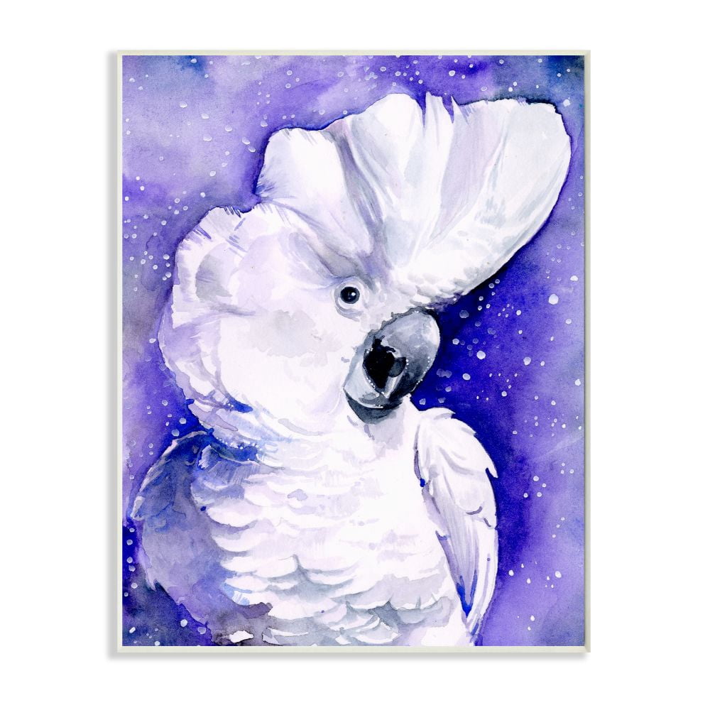 Stupell Industries Space Bird Watercolor Animal Purple Painting Wall Plaque by Jennifer Paxton Parker, 13" x 19", Wall Plaque