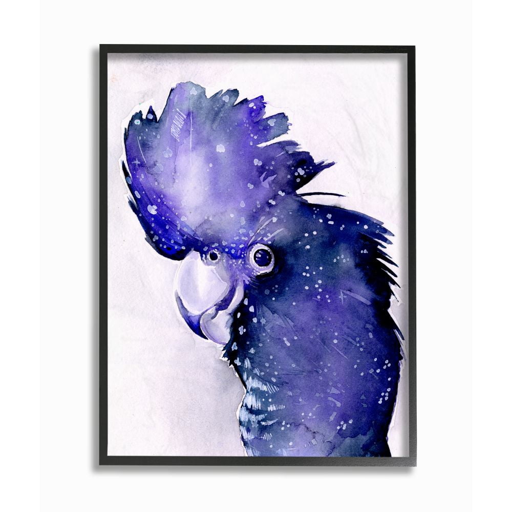 Stupell Industries Space Bird Watercolor Purple Animal Painting Black Framed Art Print Wall Art, 16x20, by Jennifer Paxton Parker