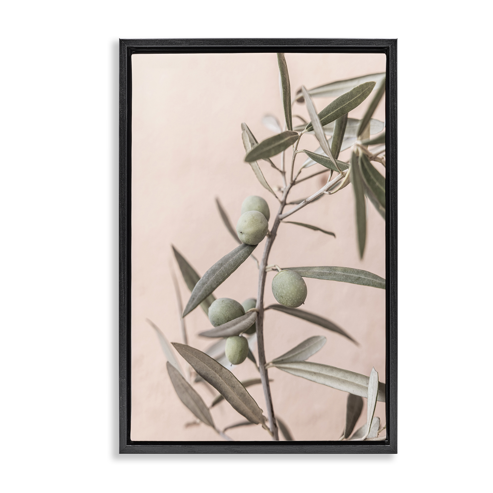 Stupell Industries Spanish Olive Branch Plants & Flowers Painting Black Floater Framed Canvas Art Print Wall Art, 21 x 31